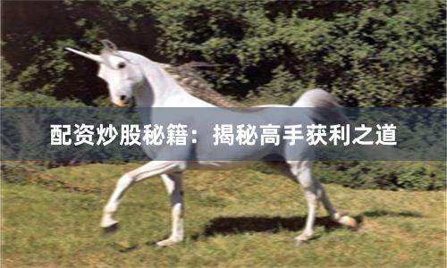 配资炒股秘籍：揭秘高手获利之道