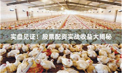 实盘见证！股票配资实战收益大揭秘